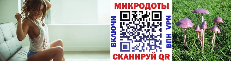 Псилоцибиновые грибы Cubensis  Новоаннинский 